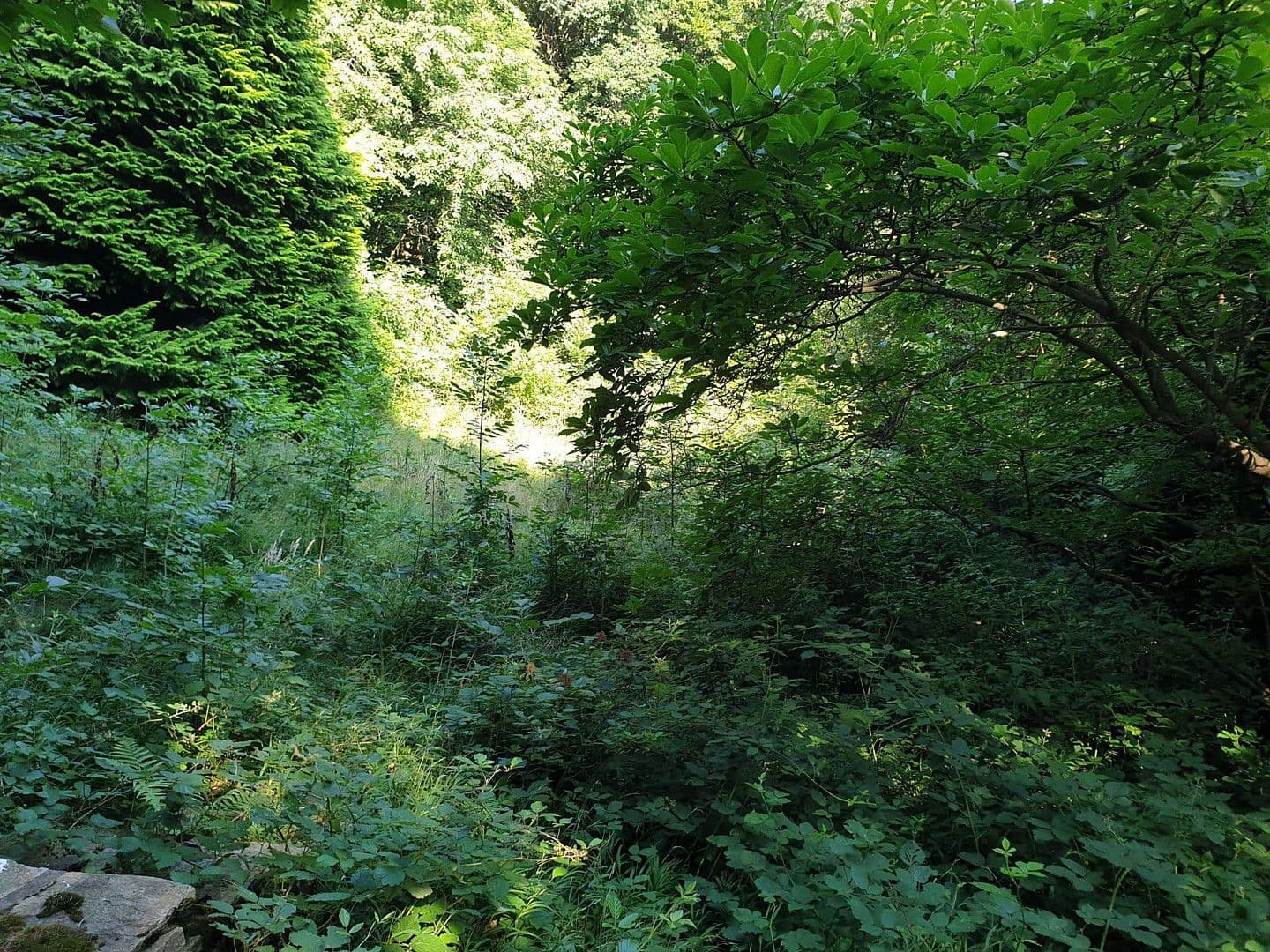 Prodej pozemku 1.200 m², Wien, Wien Prodej pozemku 1.200 m², Wien, Wien