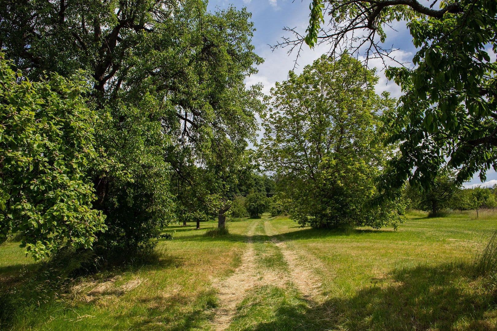 Pronájem bytu 1+1 74 m², Neuenbürg, Bádensko-Württembersko Pronájem bytu 1+1 74 m², Neuenbürg, Bádensko-Württembersko