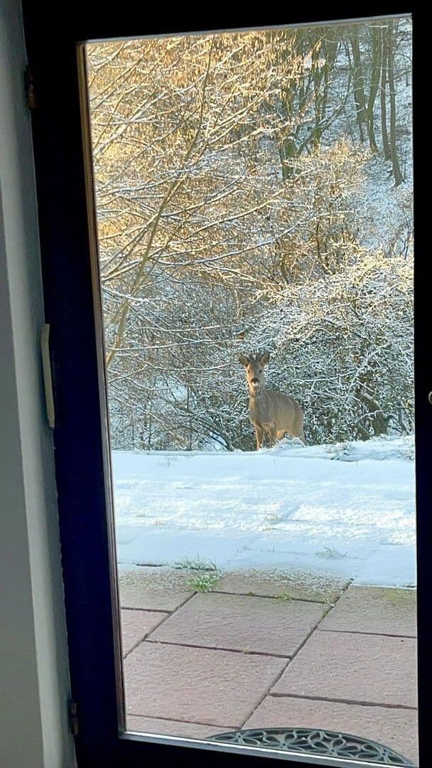 Pronájem domu 90 m², pozemek 1.700 m², Bad Soden am Taunus, Hessen Pronájem domu 90 m², pozemek 1.700 m², Bad Soden am Taunus, Hessen