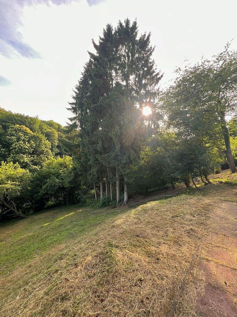 Pronájem domu 90 m², pozemek 1.700 m², Bad Soden am Taunus, Hessen Pronájem domu 90 m², pozemek 1.700 m², Bad Soden am Taunus, Hessen