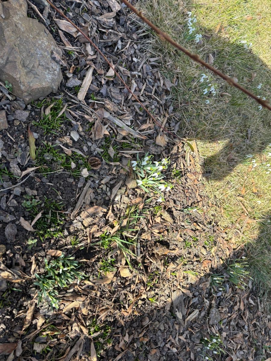 Pronájem bytu 3+kk 80 m², Aloise Jiráska, Příbram, Středočeský kraj Pronájem bytu 3+kk 80 m², Aloise Jiráska, Příbram, Středočeský kraj