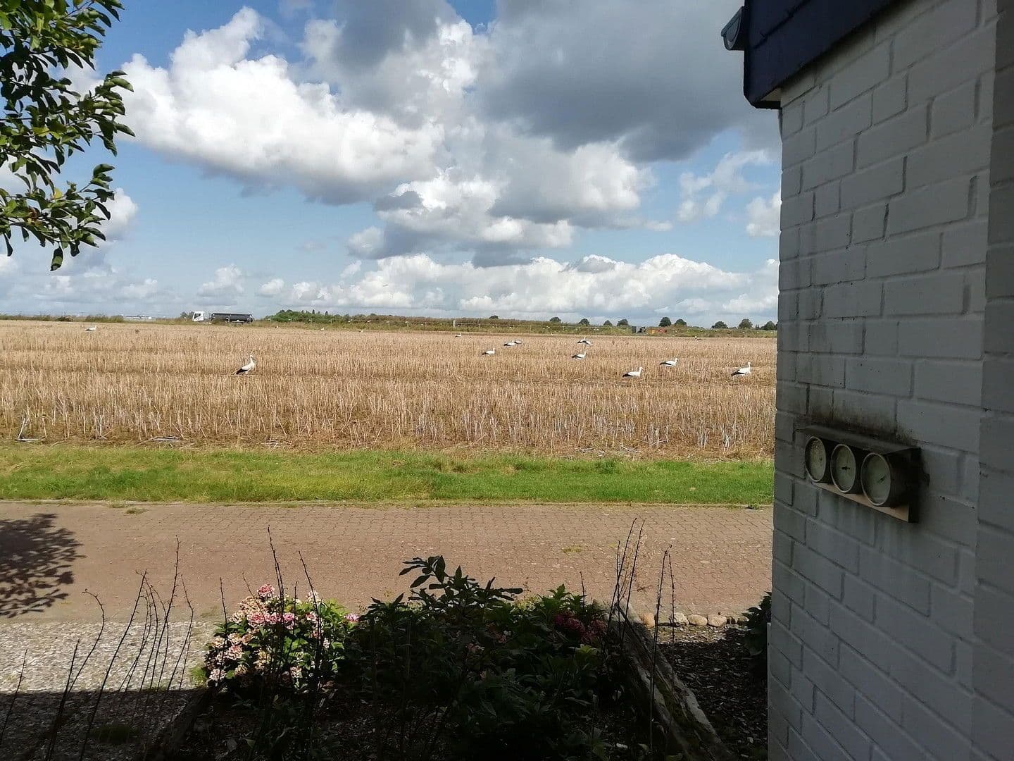 Prodej domu 117 m², pozemek 382 m², Erich-Kästner-Str. 31, Wunstorf, Dolní Sasko Prodej domu 117 m², pozemek 382 m², Erich-Kästner-Str. 31, Wunstorf, Dolní Sasko