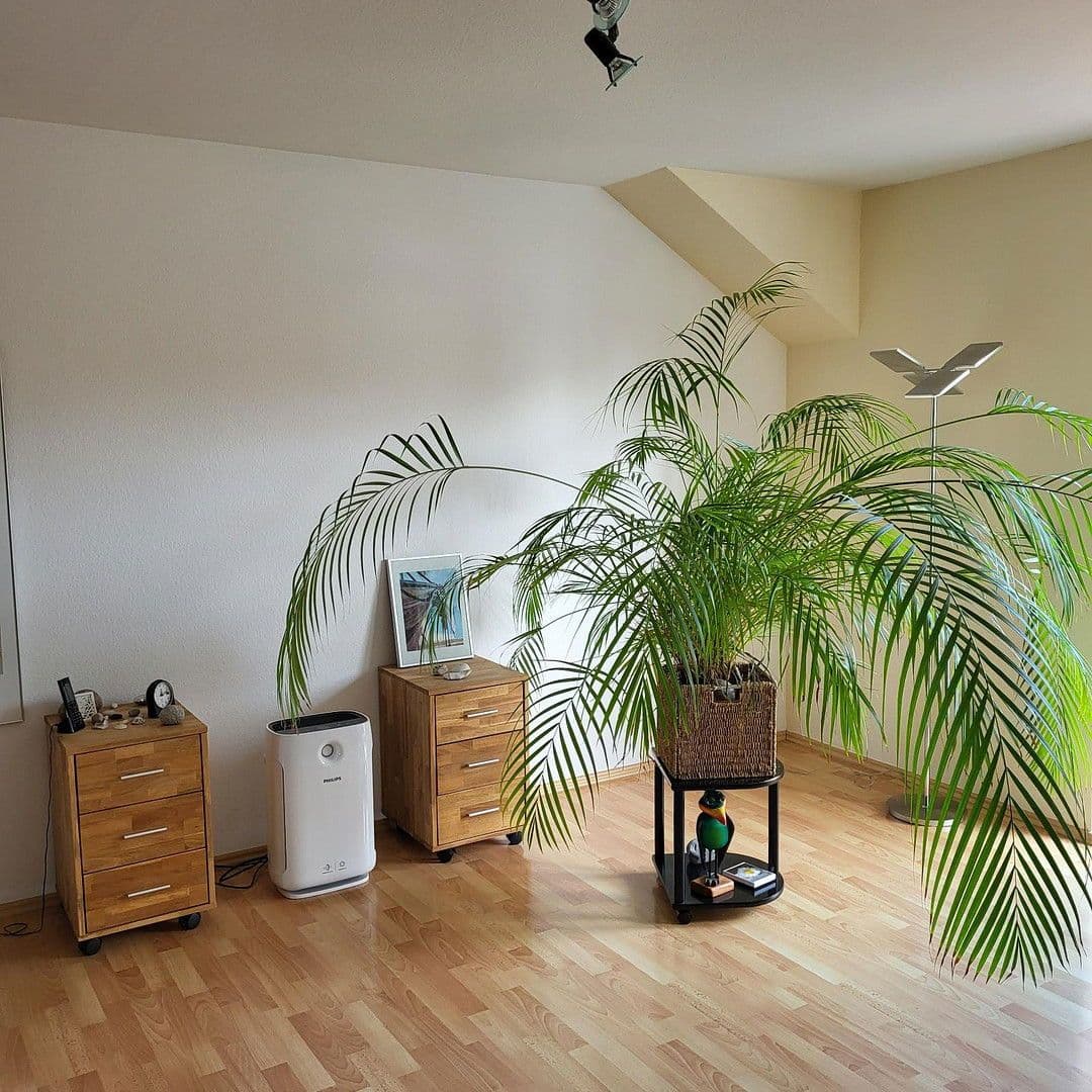 Pronájem bytu 3+1 120 m², Frankfurter Str.90, Salzgitter, Dolní Sasko Pronájem bytu 3+1 120 m², Frankfurter Str.90, Salzgitter, Dolní Sasko