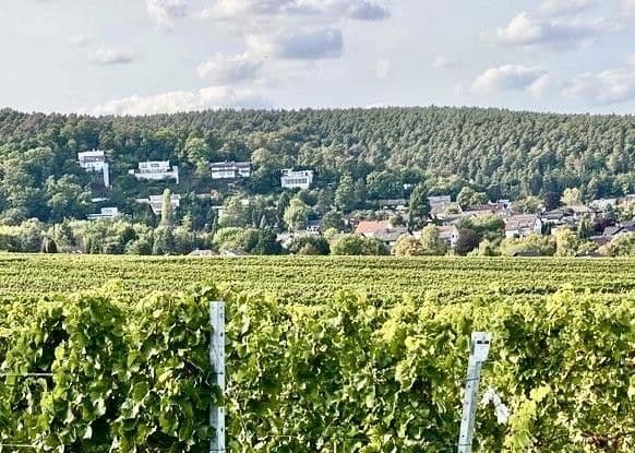 Prodej domu 270 m², pozemek 776 m², Weisenheim am Berg, Porýní-Falc Prodej domu 270 m², pozemek 776 m², Weisenheim am Berg, Porýní-Falc