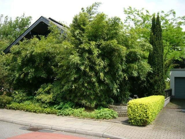 Pronájem bytu 2+1 63 m², Essen, Severní Porýní-Vestfálsko Pronájem bytu 2+1 63 m², Essen, Severní Porýní-Vestfálsko