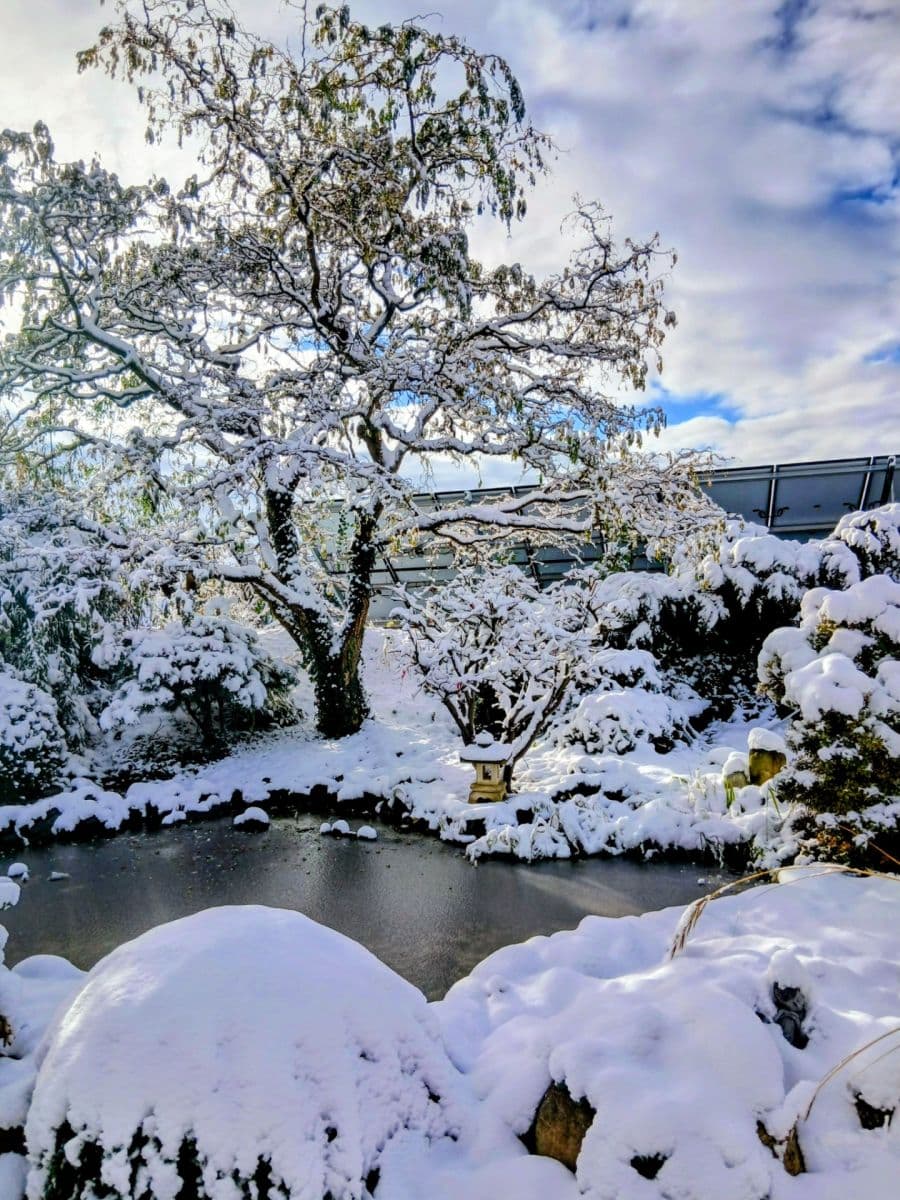 Prodej domu 120 m², pozemek 970 m², Klimkovice, Moravskoslezský kraj Prodej domu 120 m², pozemek 970 m², Klimkovice, Moravskoslezský kraj