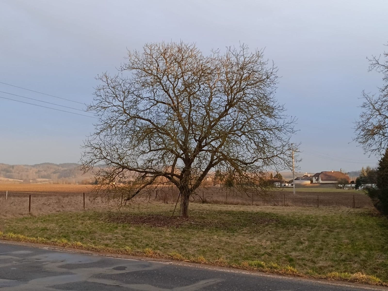 Prodej pozemku 1.008 m², Mnichovo Hradiště, Středočeský kraj Prodej pozemku 1.008 m², Mnichovo Hradiště, Středočeský kraj