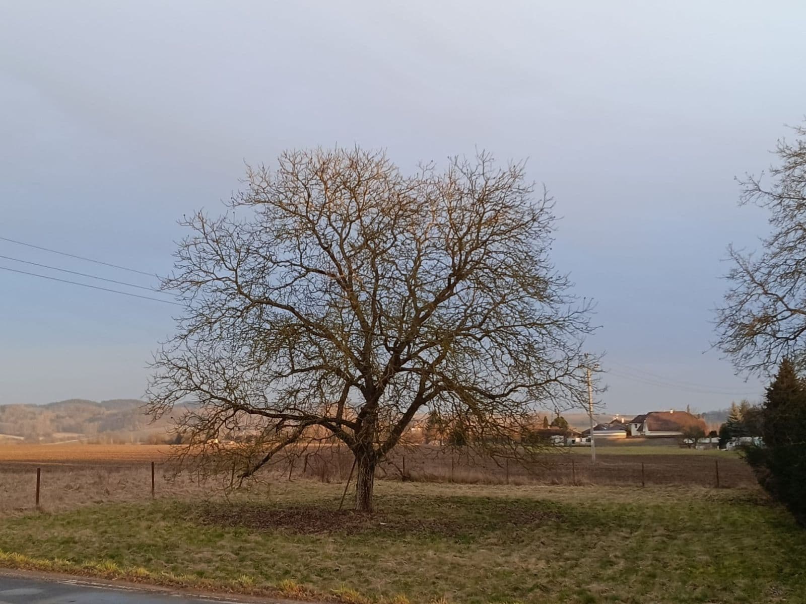 Prodej pozemku 1.008 m², Mnichovo Hradiště, Středočeský kraj Prodej pozemku 1.008 m², Mnichovo Hradiště, Středočeský kraj