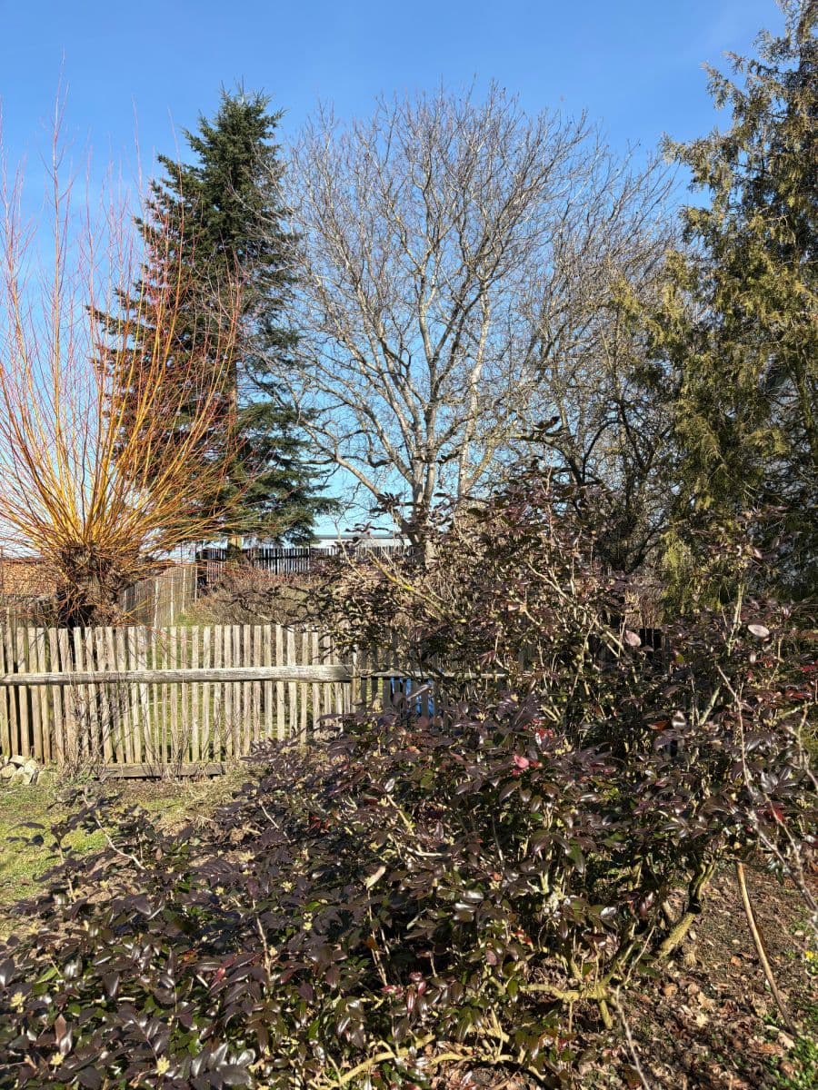 Prodej chaty, chalupy 96 m², pozemek 442 m², Benešovská, Sedlec-Prčice, Středočeský kraj Prodej chaty, chalupy 96 m², pozemek 442 m², Benešovská, Sedlec-Prčice, Středočeský kraj