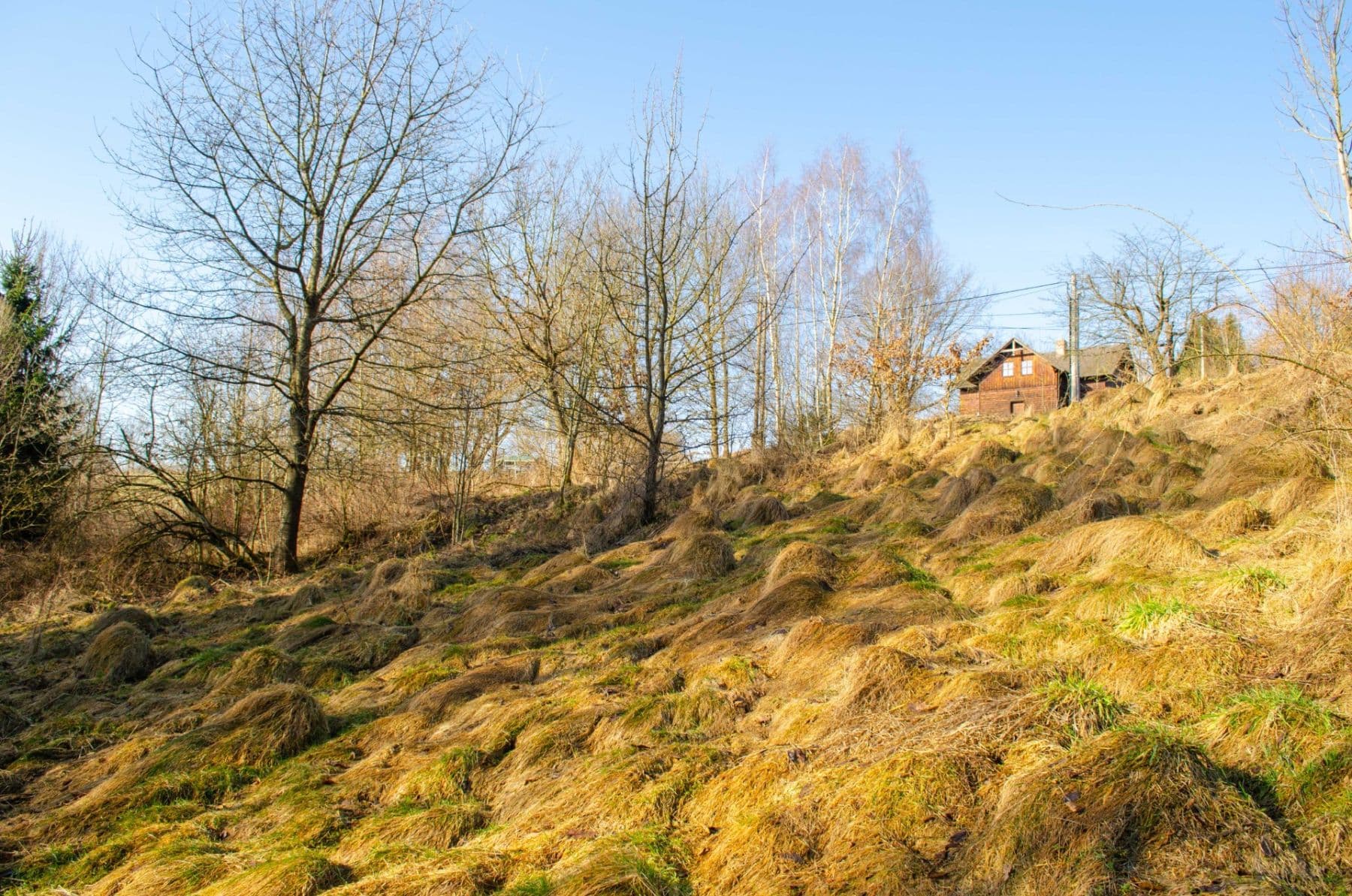 Prodej pozemku 2.174 m², Nová Ves, Liberecký kraj Prodej pozemku 2.174 m², Nová Ves, Liberecký kraj