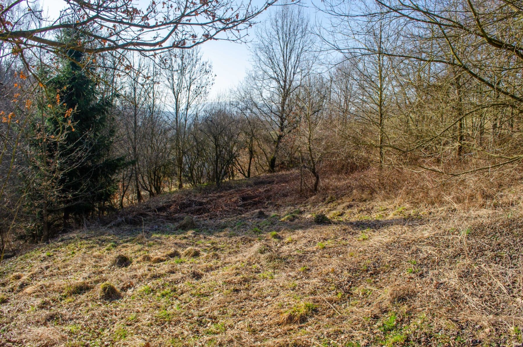 Prodej pozemku 2.174 m², Nová Ves, Liberecký kraj Prodej pozemku 2.174 m², Nová Ves, Liberecký kraj