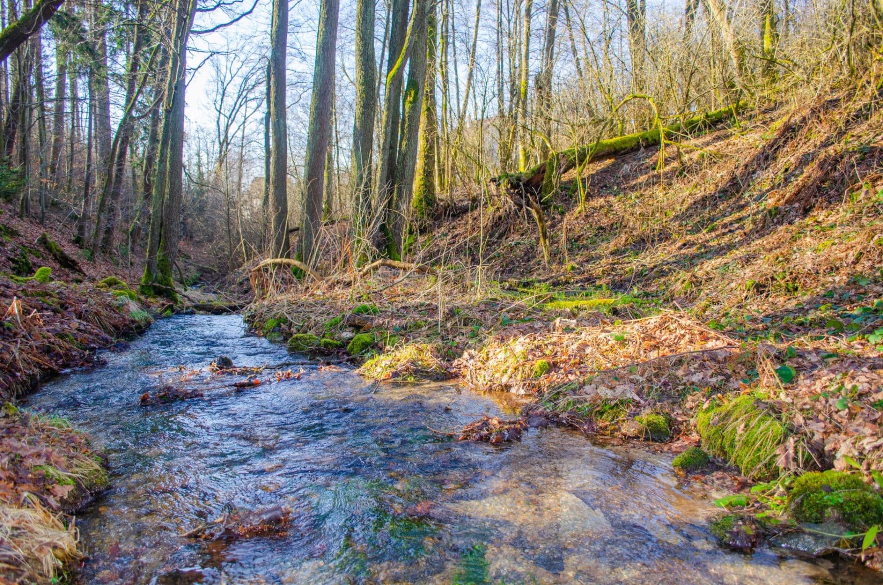 Prodej pozemku 2.174 m², Nová Ves, Liberecký kraj Prodej pozemku 2.174 m², Nová Ves, Liberecký kraj
