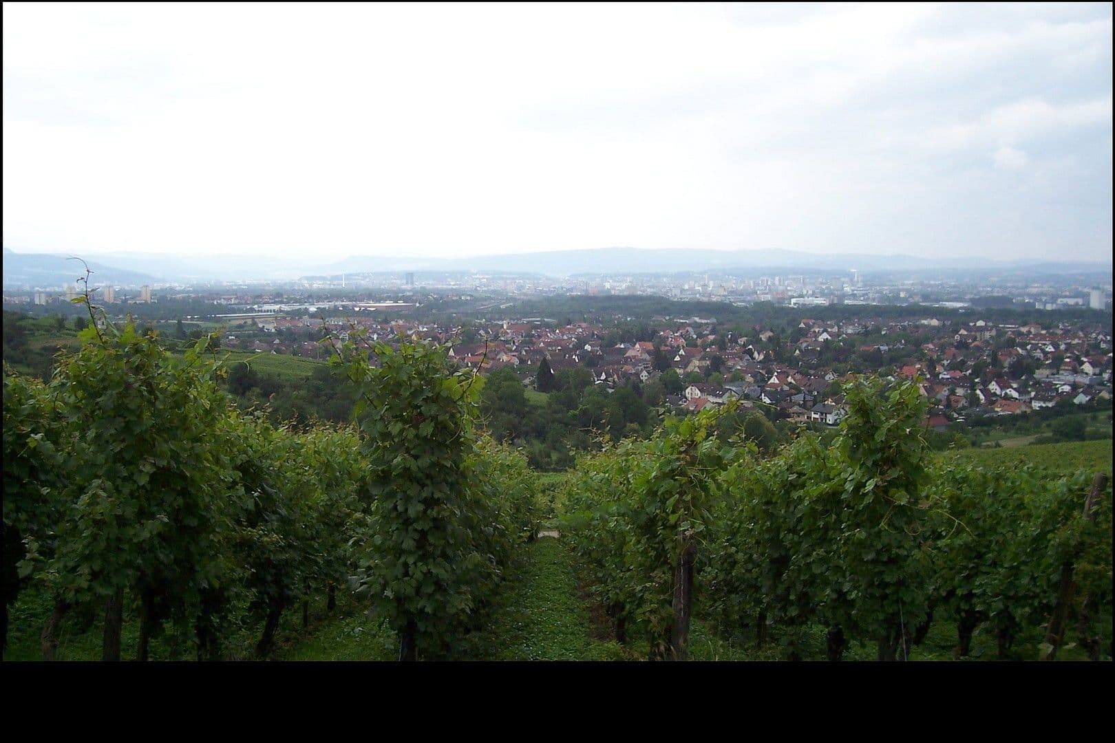 Pronájem bytu 4+1 119 m², Weil am Rhein, Bádensko-Württembersko Pronájem bytu 4+1 119 m², Weil am Rhein, Bádensko-Württembersko