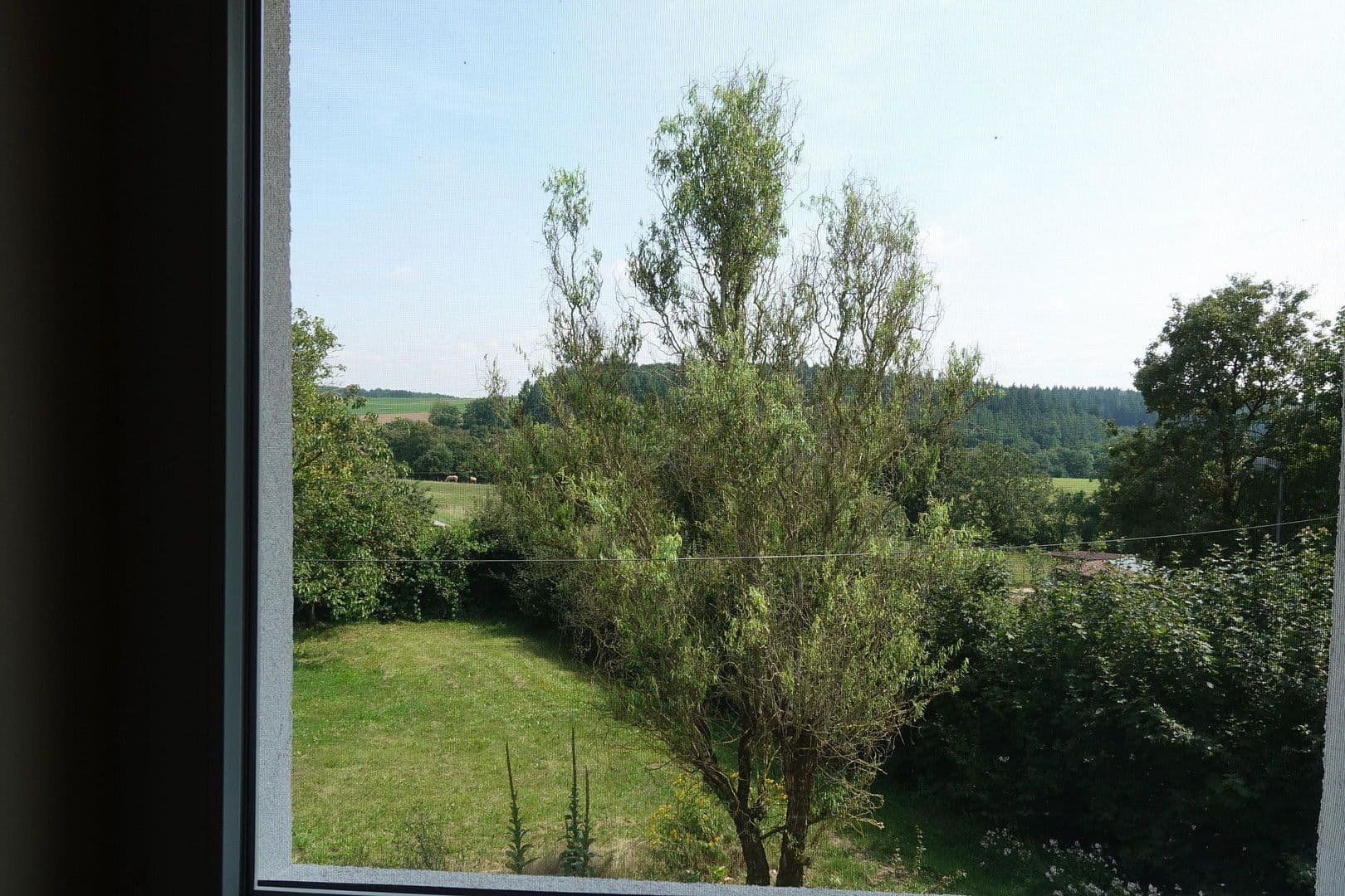 Prodej domu 180 m², pozemek 39.000 m², Hohlensten 3, Buchen (Odenwald), Bádensko-Württembersko Prodej domu 180 m², pozemek 39.000 m², Hohlensten 3, Buchen (Odenwald), Bádensko-Württembersko