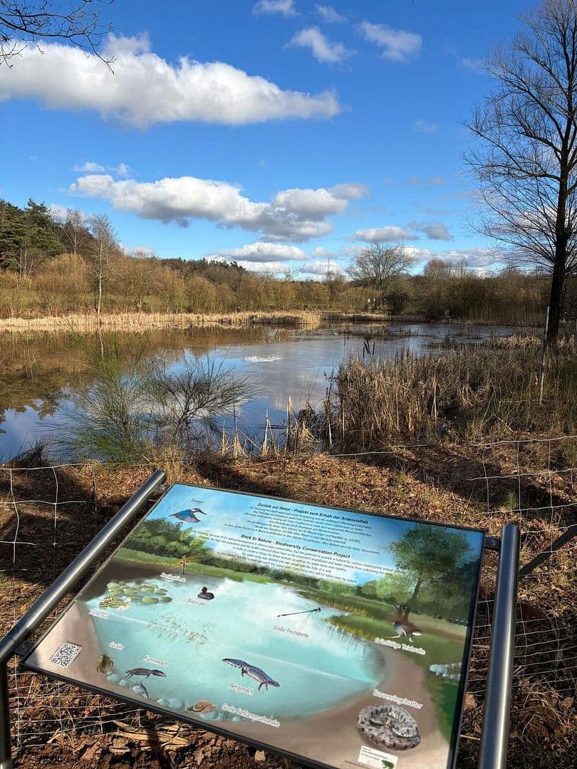 Prodej bytu 3+1 105 m², Finkenstraße 48, Ramstein-Miesenbach, Porýní-Falc Prodej bytu 3+1 105 m², Finkenstraße 48, Ramstein-Miesenbach, Porýní-Falc