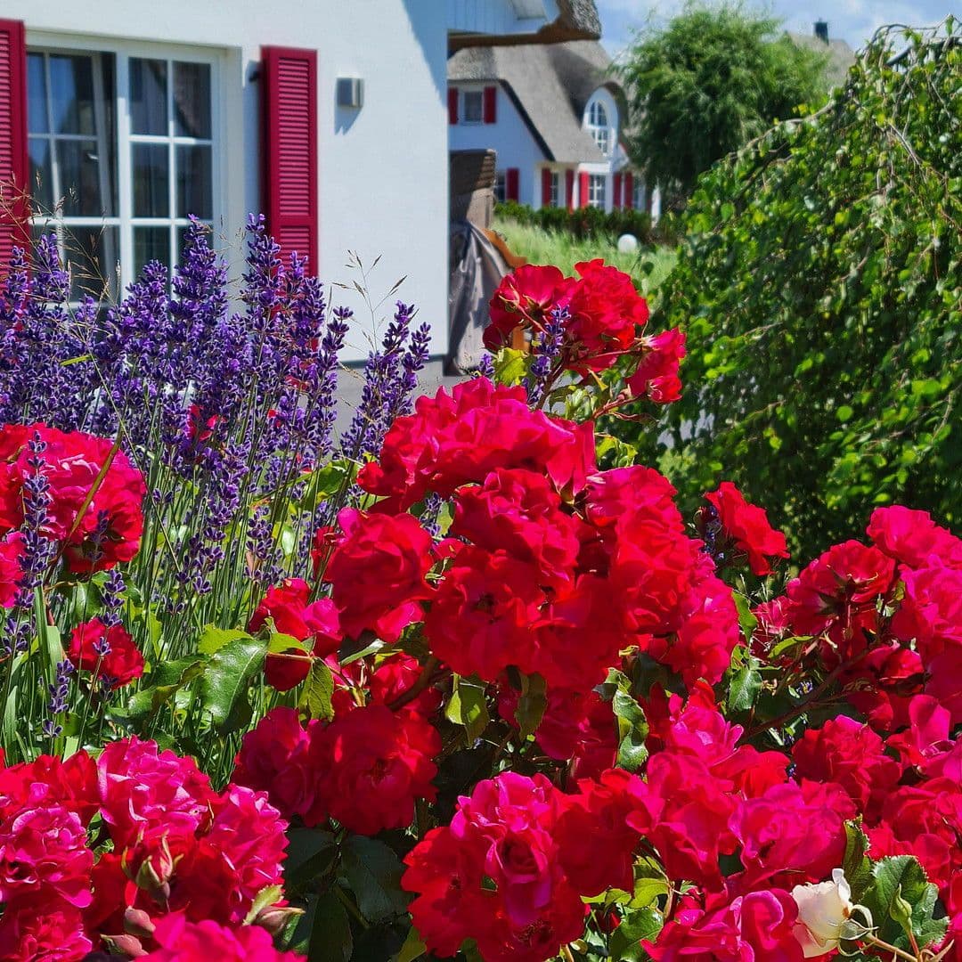 Prodej domu 84 m², pozemek 727 m², Fuhlendorf, Mecklenburg-Vorpommern Prodej domu 84 m², pozemek 727 m², Fuhlendorf, Mecklenburg-Vorpommern