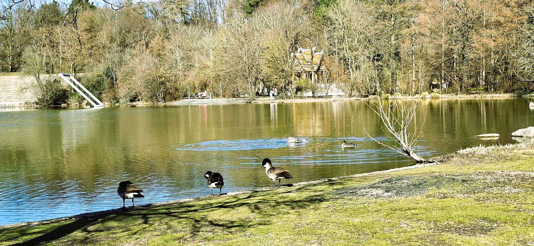 Prodej bytu 3+1 80 m², Westendstrasse 266a, München, Bavorsko Prodej bytu 3+1 80 m², Westendstrasse 266a, München, Bavorsko