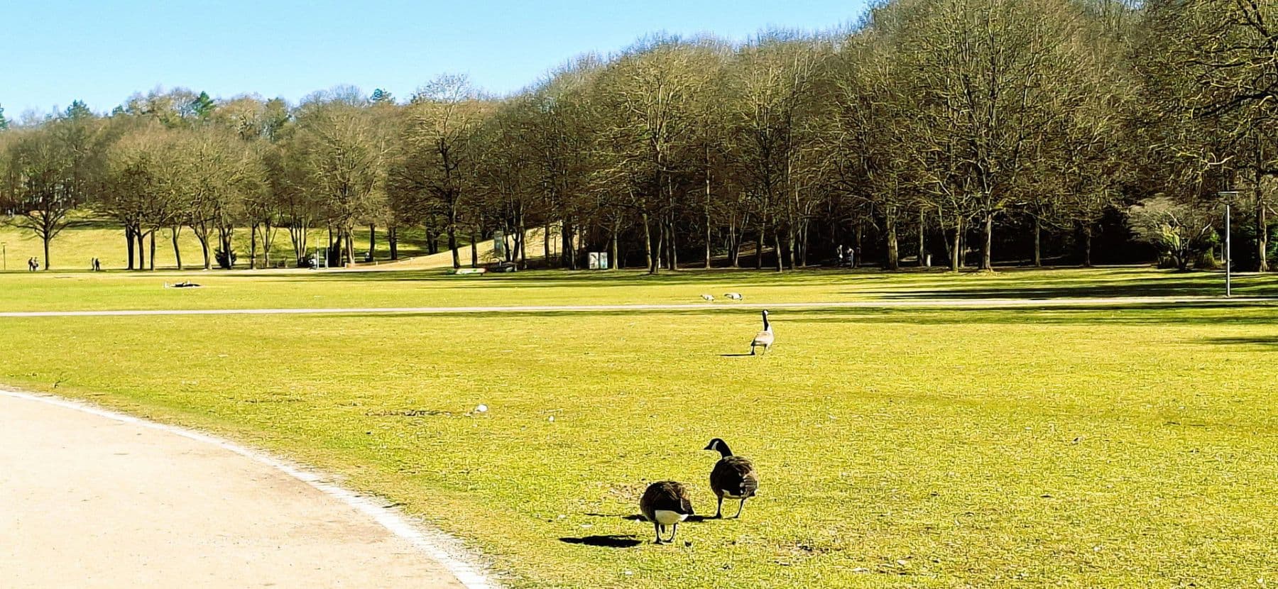 Prodej bytu 3+1 80 m², Westendstrasse 266a, München, Bavorsko Prodej bytu 3+1 80 m², Westendstrasse 266a, München, Bavorsko