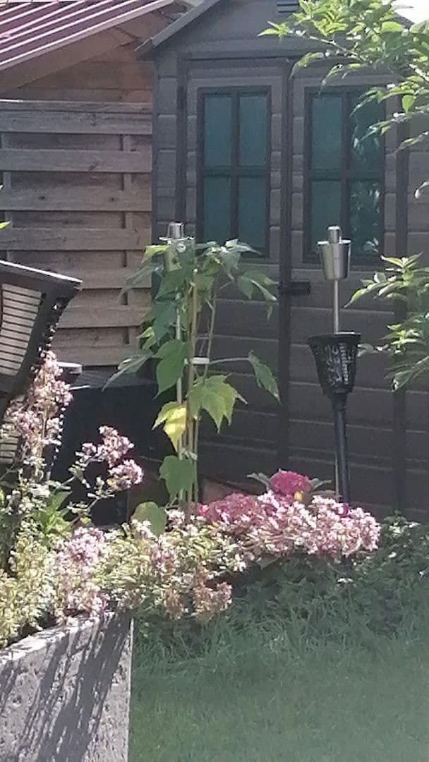 Prodej bytu 5+1 150 m², Karlshuld, Bavorsko Prodej bytu 5+1 150 m², Karlshuld, Bavorsko