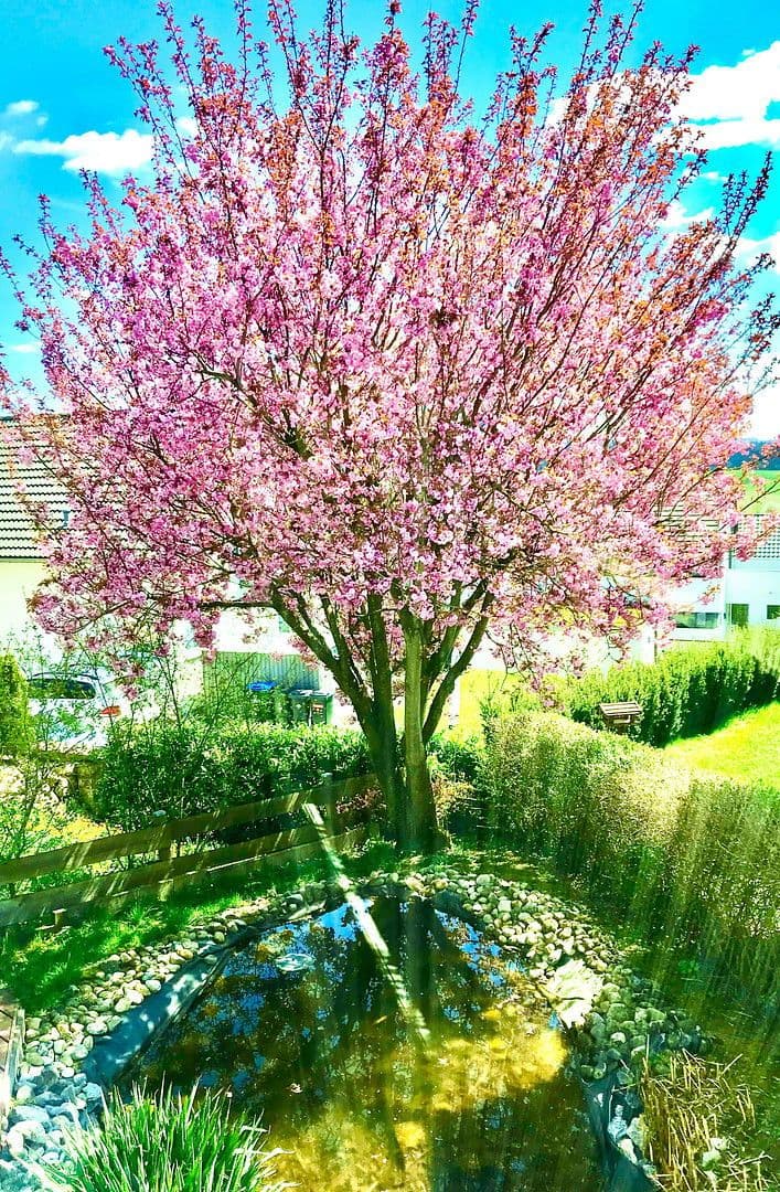 Prodej domu 250 m², pozemek 313 m², Göppingen, Bádensko-Württembersko Prodej domu 250 m², pozemek 313 m², Göppingen, Bádensko-Württembersko