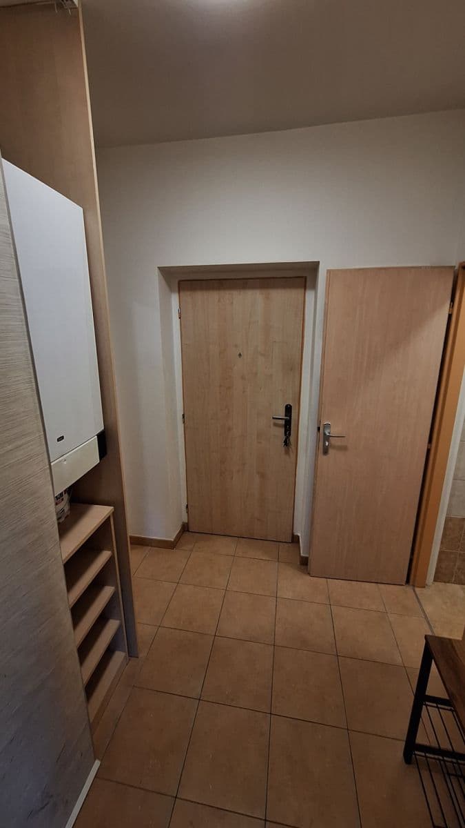 Pronájem bytu 2+kk 53 m², Kaštanová, Milovice, Středočeský kraj Pronájem bytu 2+kk 53 m², Kaštanová, Milovice, Středočeský kraj