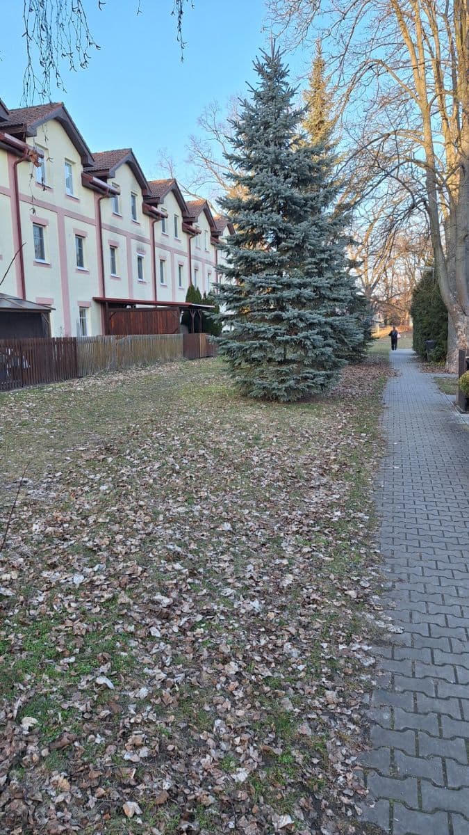 Pronájem bytu 2+kk 53 m², Kaštanová, Milovice, Středočeský kraj Pronájem bytu 2+kk 53 m², Kaštanová, Milovice, Středočeský kraj