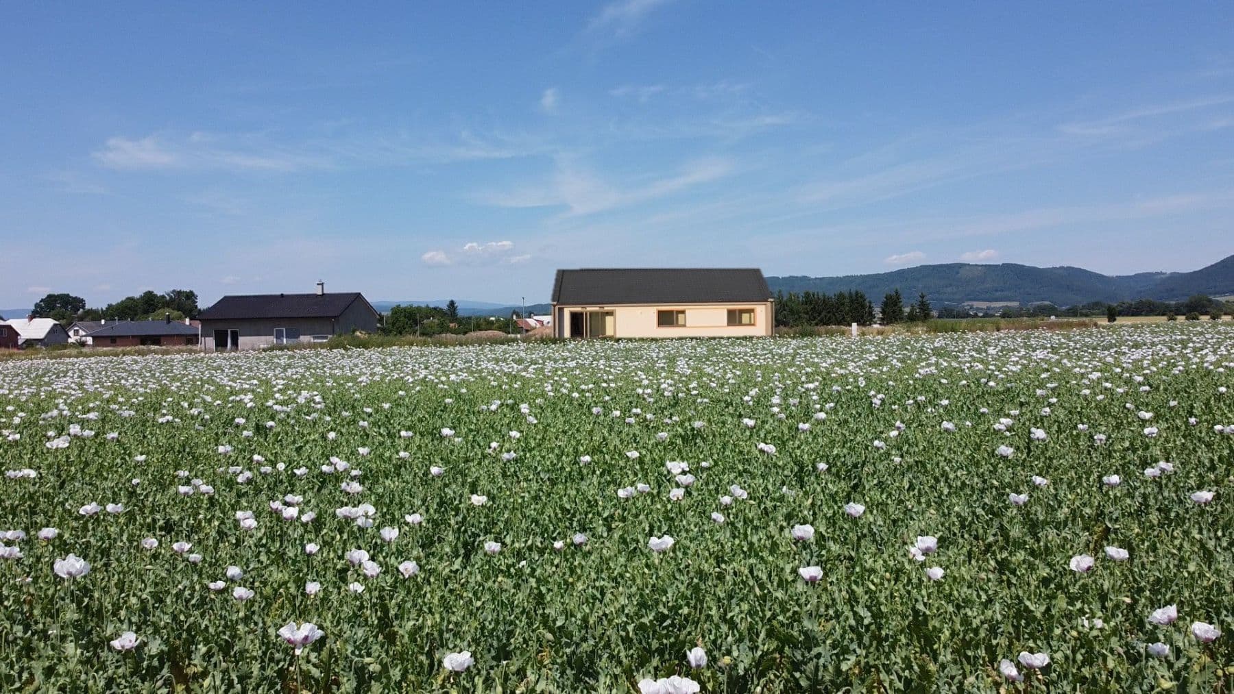 Prodej domu 110 m², pozemek 800 m², Újezd, Olomoucký kraj Prodej domu 110 m², pozemek 800 m², Újezd, Olomoucký kraj