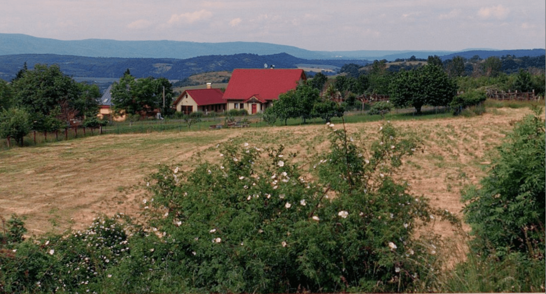 Prodej pozemku 1.737 m², Žalany, Ústecký kraj Prodej pozemku 1.737 m², Žalany, Ústecký kraj
