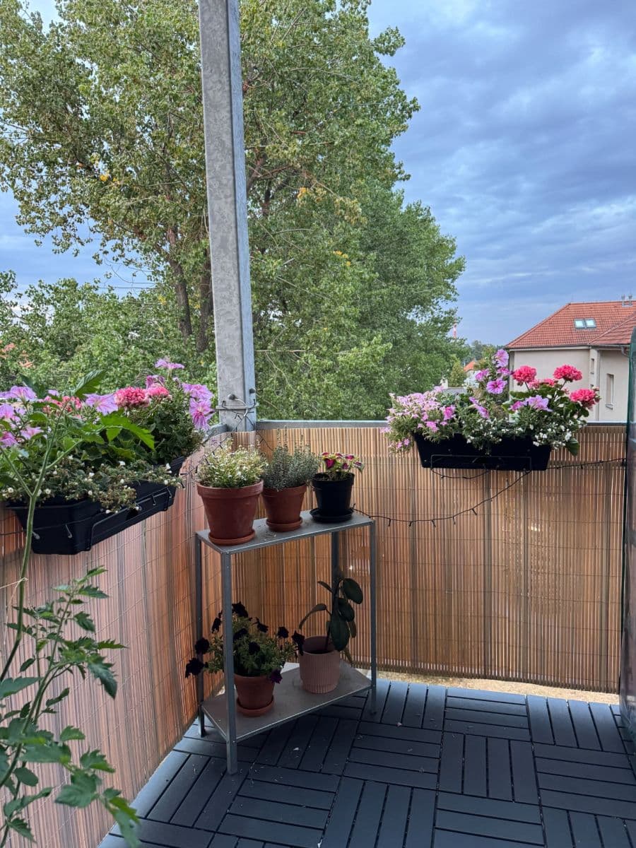 Prodej bytu 2+kk 45 m², Tomanova, Slaný, Středočeský kraj Prodej bytu 2+kk 45 m², Tomanova, Slaný, Středočeský kraj