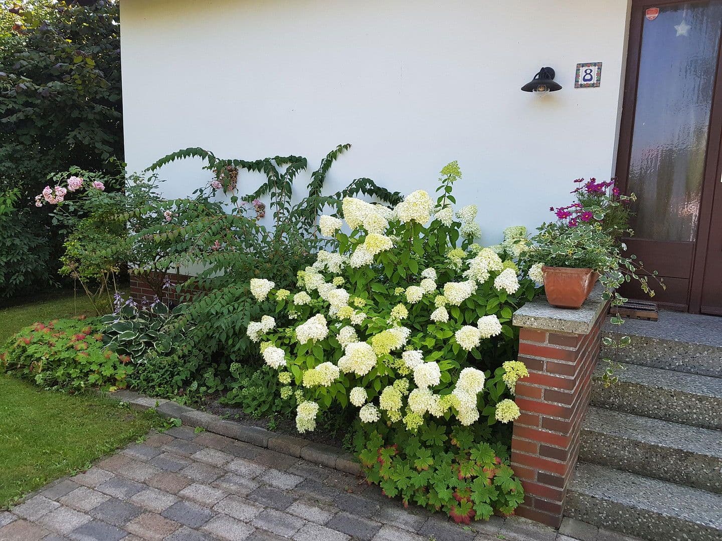 Prodej domu 110 m², pozemek 750 m², Hetlingen, Šlesvicko-Holštýnsko Prodej domu 110 m², pozemek 750 m², Hetlingen, Šlesvicko-Holštýnsko