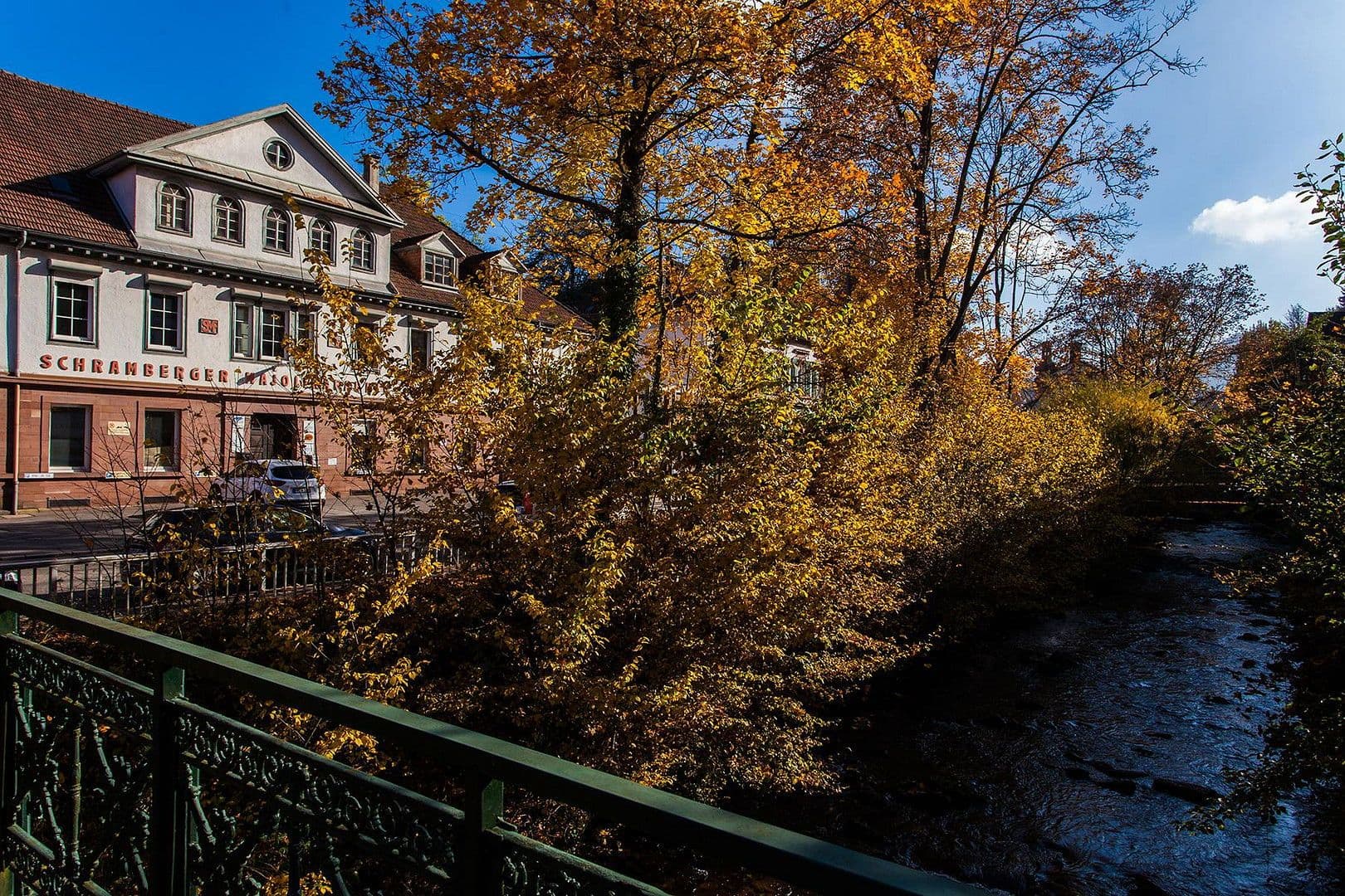 Pronájem nebytového prostoru 15.000 m², Schiltachstrasse, 28, Schramberg, Bádensko-Württembersko Pronájem nebytového prostoru 15.000 m², Schiltachstrasse, 28, Schramberg, Bádensko-Württembersko