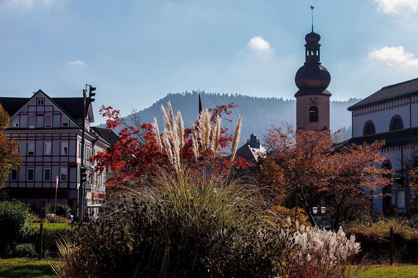 Pronájem nebytového prostoru 15.000 m², Schiltachstrasse, 28, Schramberg, Bádensko-Württembersko Pronájem nebytového prostoru 15.000 m², Schiltachstrasse, 28, Schramberg, Bádensko-Württembersko
