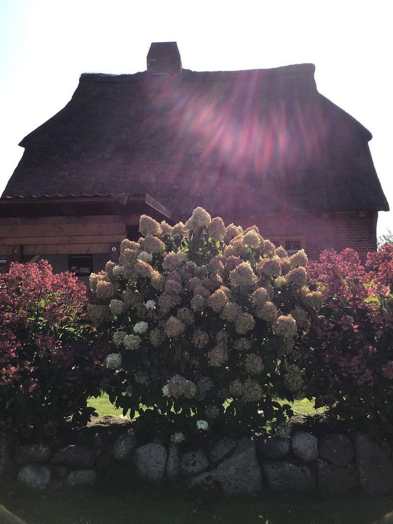 Prodej domu 130 m², pozemek 671 m², Heinkenborstel, Šlesvicko-Holštýnsko Prodej domu 130 m², pozemek 671 m², Heinkenborstel, Šlesvicko-Holštýnsko