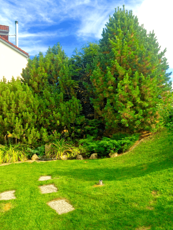 Prodej domu 360 m², pozemek 870 m², Schluchsee, Bádensko-Württembersko Prodej domu 360 m², pozemek 870 m², Schluchsee, Bádensko-Württembersko