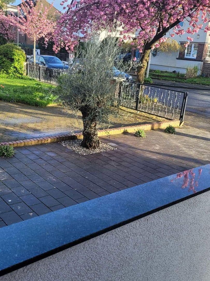 Prodej domu 120 m², pozemek 400 m², An der Schanzenbrücke 14, Duisburg, Severní Porýní-Vestfálsko Prodej domu 120 m², pozemek 400 m², An der Schanzenbrücke 14, Duisburg, Severní Porýní-Vestfálsko