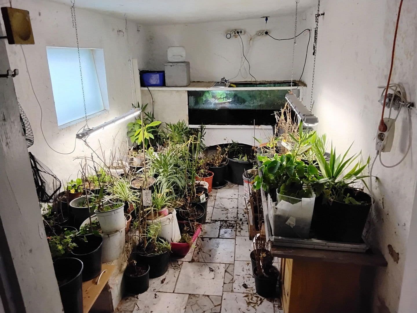 Prodej domu 180 m², pozemek 300 m², Feldgasse 6, Kautzen, Dolní Rakousko Prodej domu 180 m², pozemek 300 m², Feldgasse 6, Kautzen, Dolní Rakousko