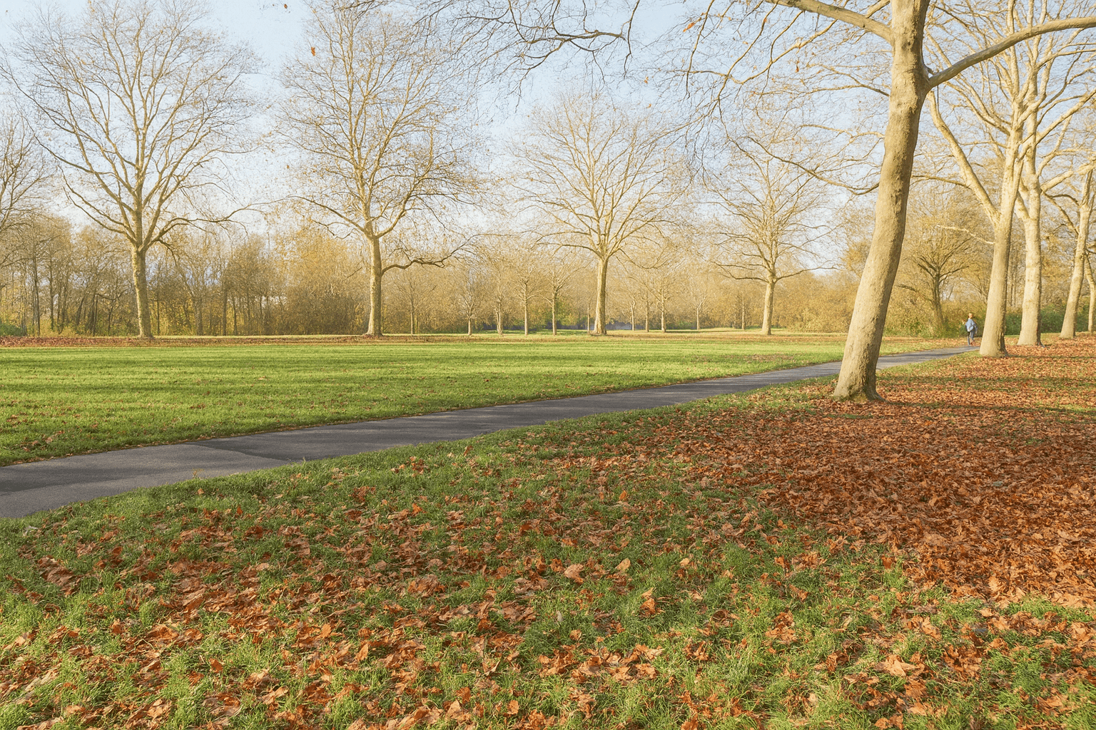 Prodej domu 120 m², pozemek 524 m², Köln, Severní Porýní-Vestfálsko Prodej domu 120 m², pozemek 524 m², Köln, Severní Porýní-Vestfálsko