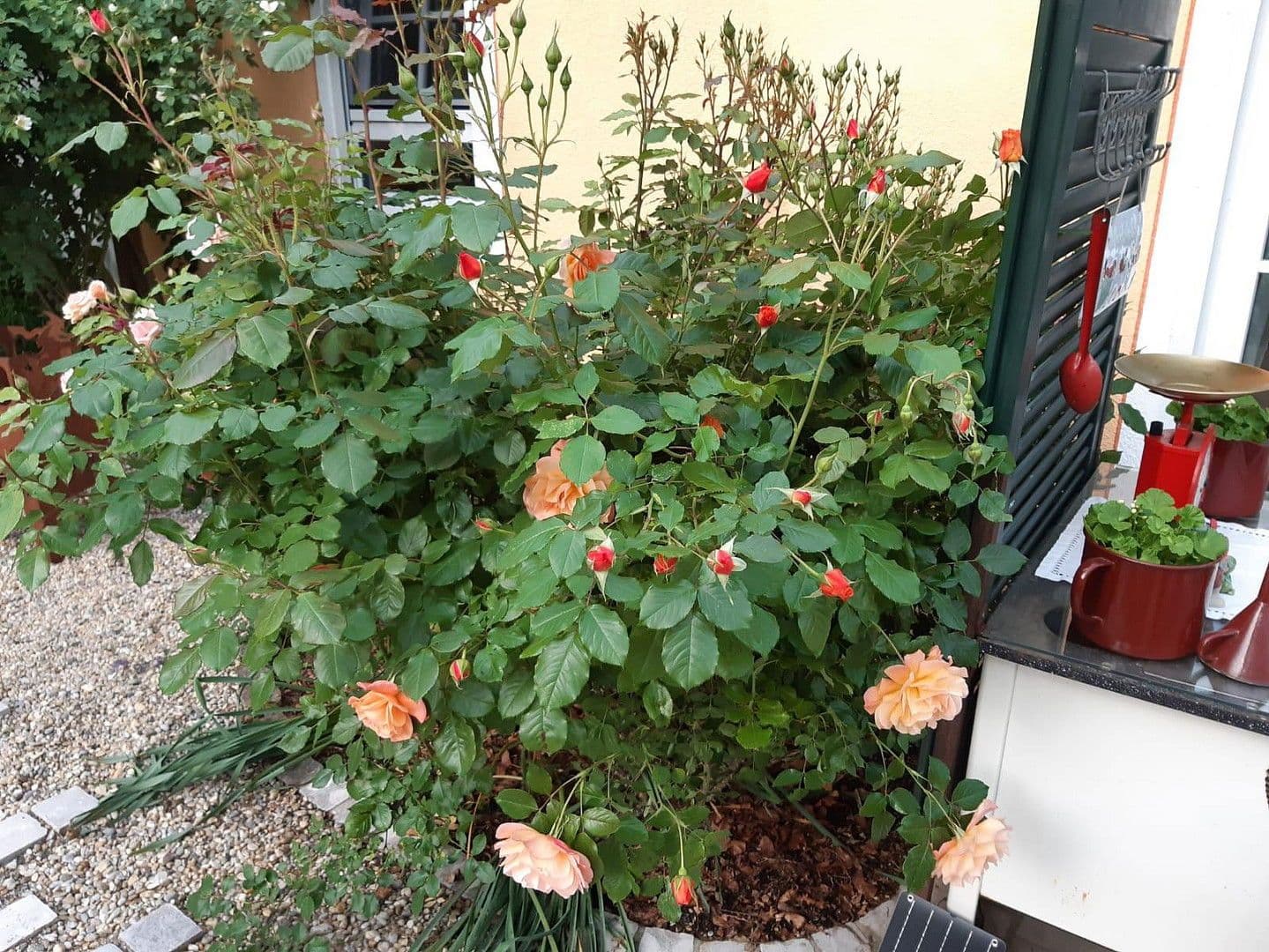 Prodej domu 155 m², pozemek 730 m², Althegnenberg, Bavorsko Prodej domu 155 m², pozemek 730 m², Althegnenberg, Bavorsko