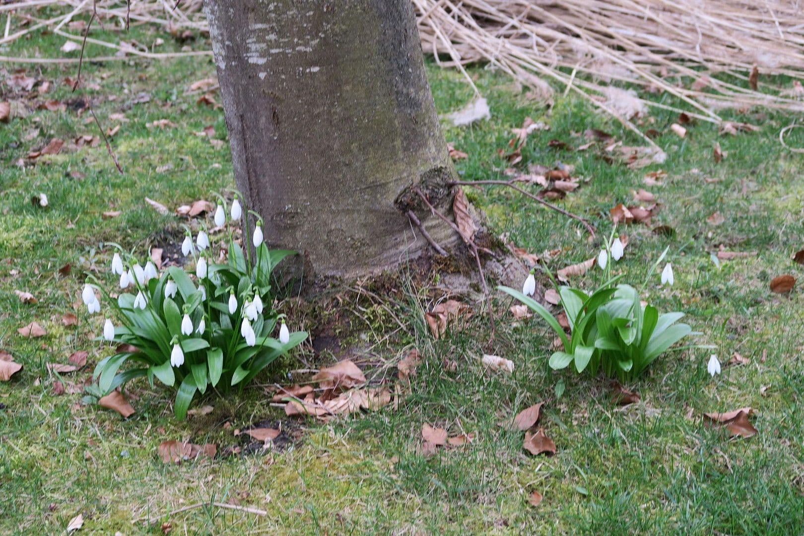 Prodej domu 155 m², pozemek 730 m², Althegnenberg, Bavorsko Prodej domu 155 m², pozemek 730 m², Althegnenberg, Bavorsko