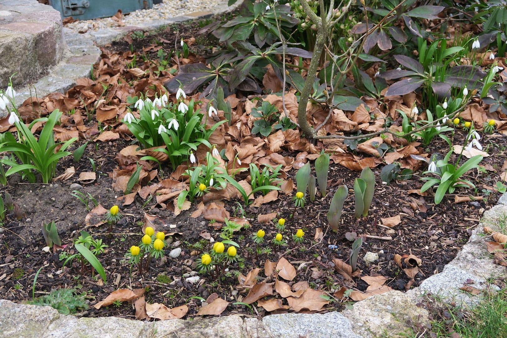 Prodej domu 155 m², pozemek 730 m², Althegnenberg, Bavorsko Prodej domu 155 m², pozemek 730 m², Althegnenberg, Bavorsko