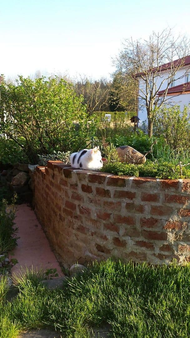 Prodej domu 155 m², pozemek 730 m², Althegnenberg, Bavorsko Prodej domu 155 m², pozemek 730 m², Althegnenberg, Bavorsko