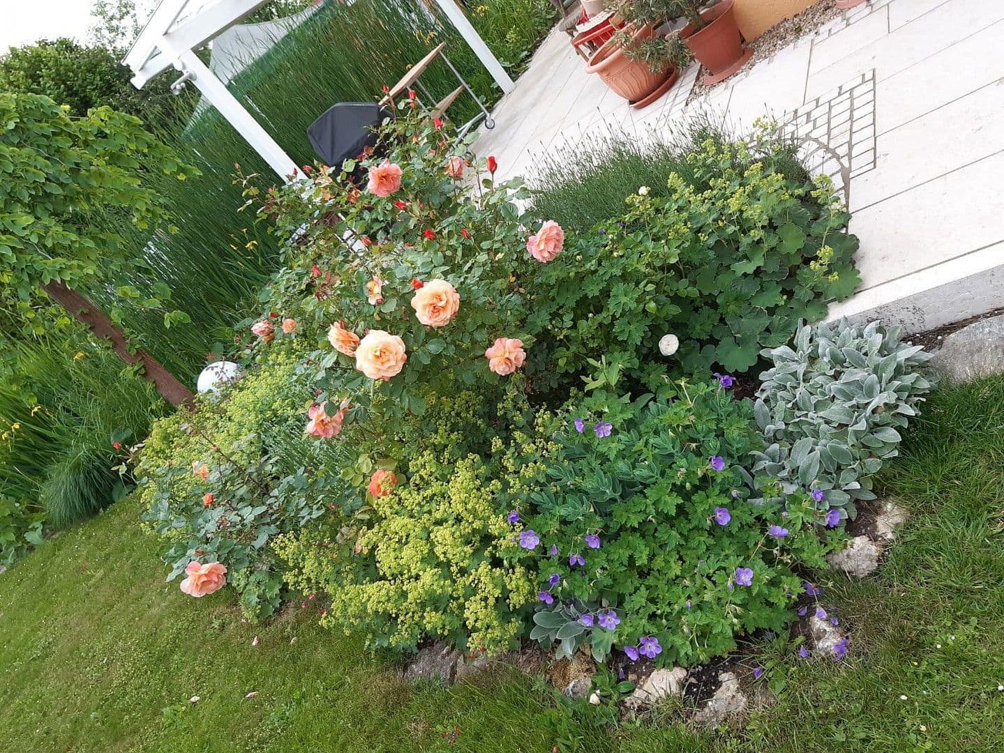 Prodej domu 155 m², pozemek 730 m², Althegnenberg, Bavorsko Prodej domu 155 m², pozemek 730 m², Althegnenberg, Bavorsko