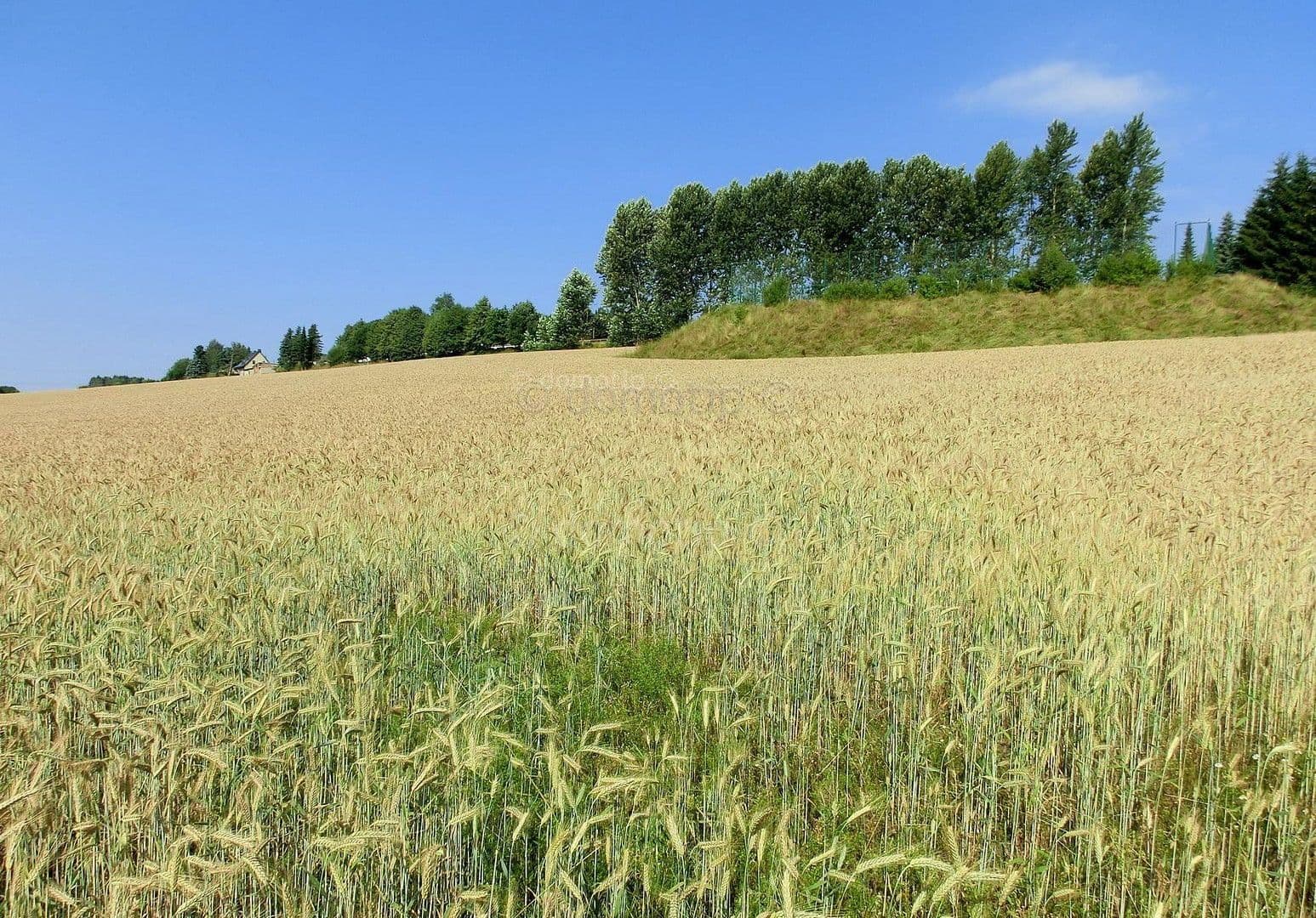 Pronájem bytu 2+1 51 m², Neubau 12, Elterlein, Sasko Pronájem bytu 2+1 51 m², Neubau 12, Elterlein, Sasko