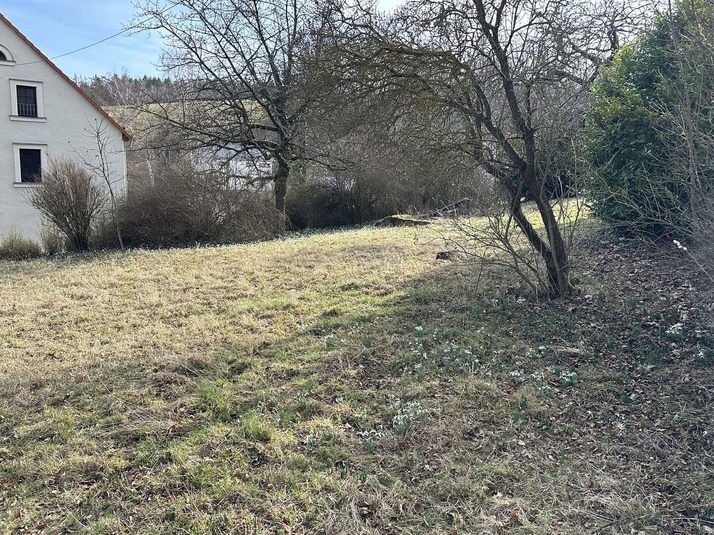 Prodej pozemku 2.364 m², Von-der-Gabelentz-Straße 5, Lemnitz, Durynsko Prodej pozemku 2.364 m², Von-der-Gabelentz-Straße 5, Lemnitz, Durynsko