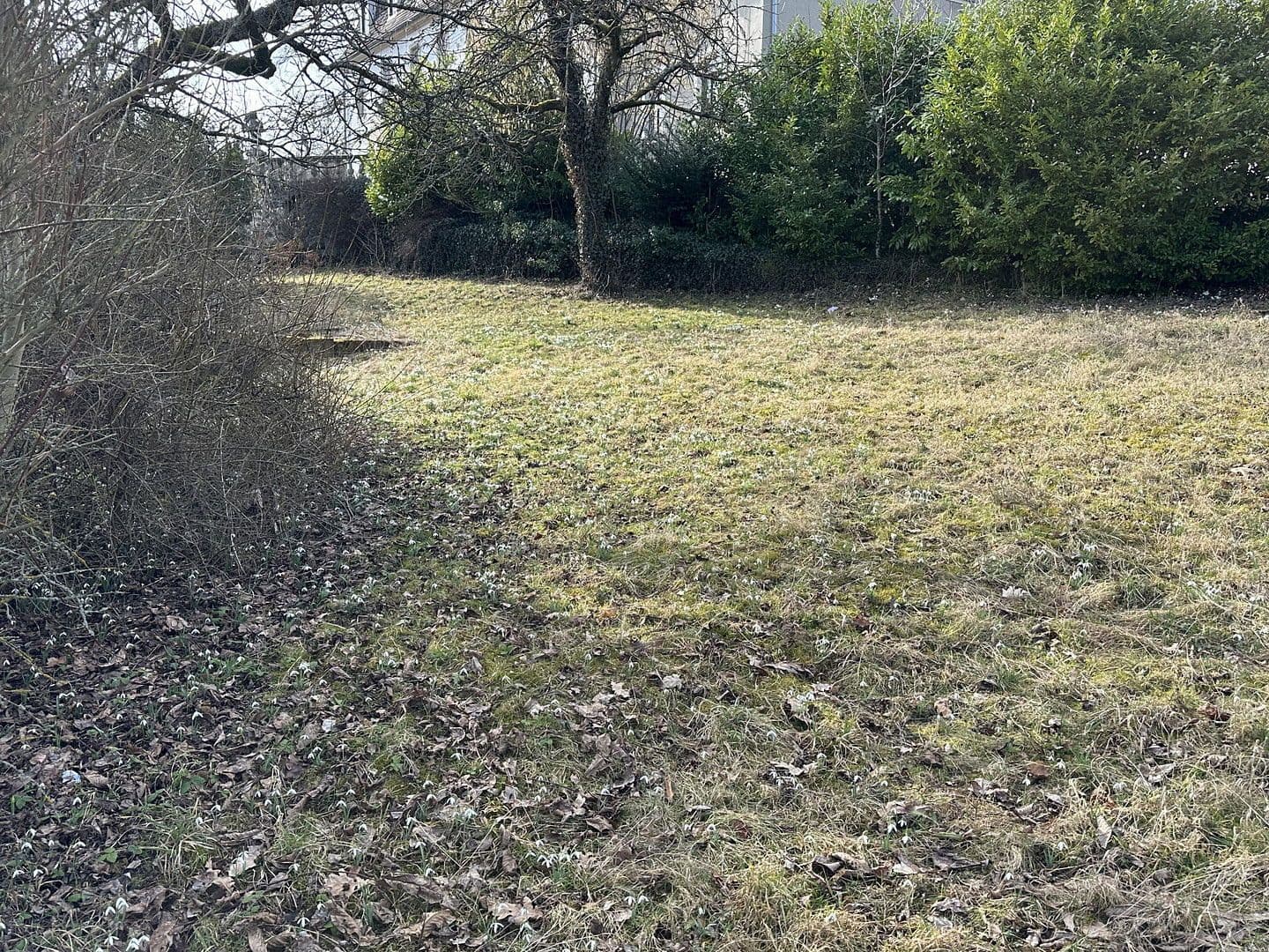 Prodej pozemku 2.364 m², Von-der-Gabelentz-Straße 5, Lemnitz, Durynsko Prodej pozemku 2.364 m², Von-der-Gabelentz-Straße 5, Lemnitz, Durynsko