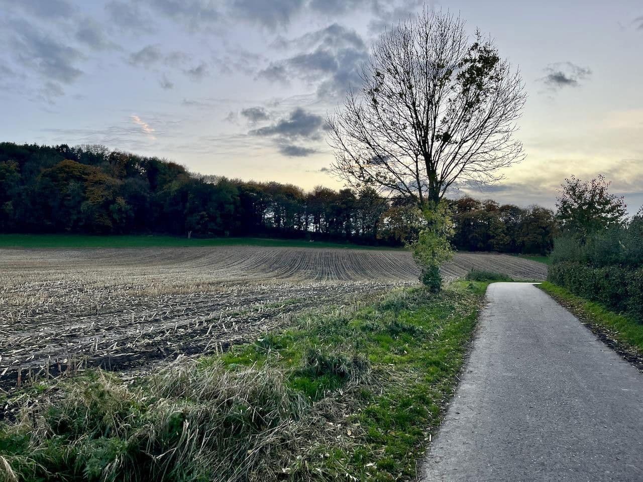 Prodej domu 243 m², pozemek 773 m², Am Neuenhof 7, Cáchy, Severní Porýní-Vestfálsko Prodej domu 243 m², pozemek 773 m², Am Neuenhof 7, Cáchy, Severní Porýní-Vestfálsko