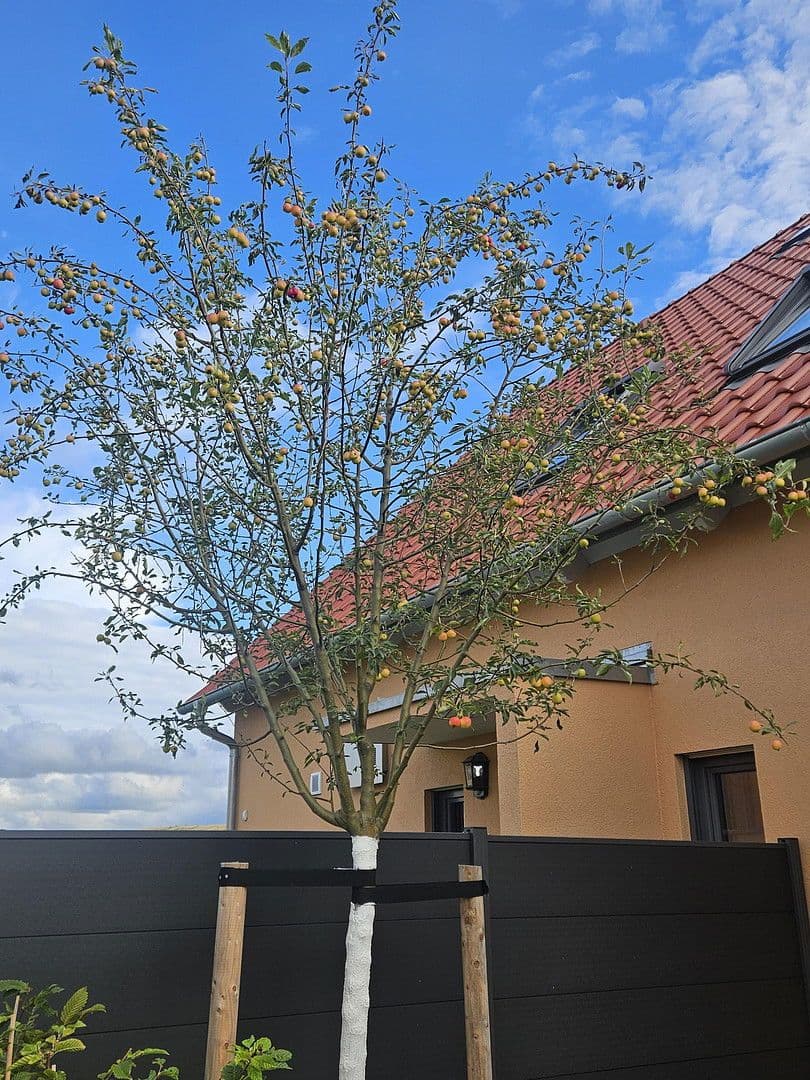 Pronájem bytu 4+kk 112 m², Brunnenweg 2A, Kamenec, Sasko Pronájem bytu 4+kk 112 m², Brunnenweg 2A, Kamenec, Sasko