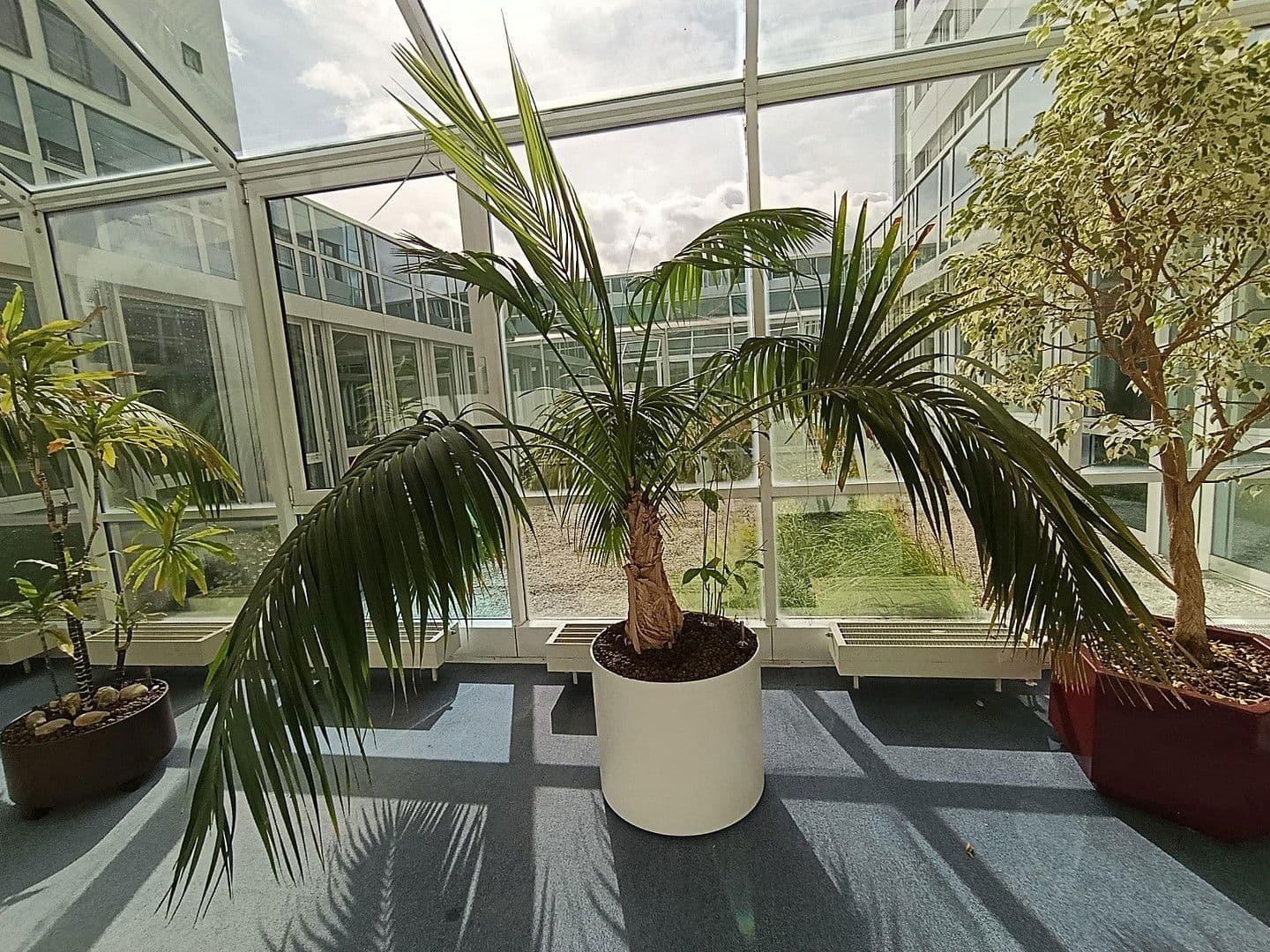 Pronájem kanceláře 14.285 m², Martin-Behaim Str. 20, Neu-Isenburg, Hessen Pronájem kanceláře 14.285 m², Martin-Behaim Str. 20, Neu-Isenburg, Hessen