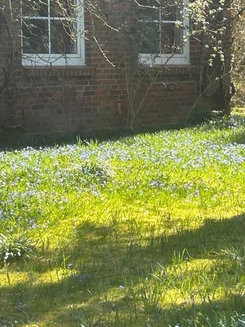 Prodej pozemku 11.148 m², Bark, Šlesvicko-Holštýnsko Prodej pozemku 11.148 m², Bark, Šlesvicko-Holštýnsko