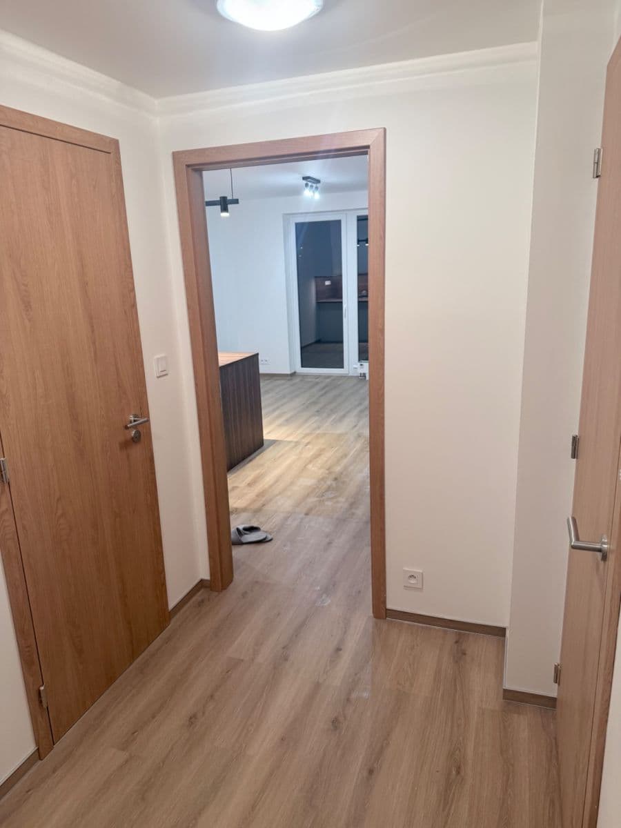 Pronájem bytu 2+kk 55 m², Jižní, Brno, Jihomoravský kraj Pronájem bytu 2+kk 55 m², Jižní, Brno, Jihomoravský kraj